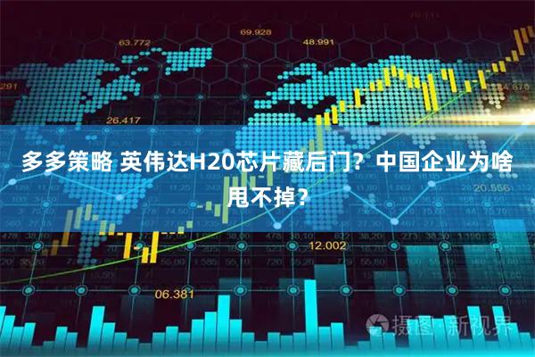 多多策略 英伟达H20芯片藏后门？中国企业为啥甩不掉？