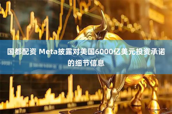国都配资 Meta披露对美国6000亿美元投资承诺的细节信息
