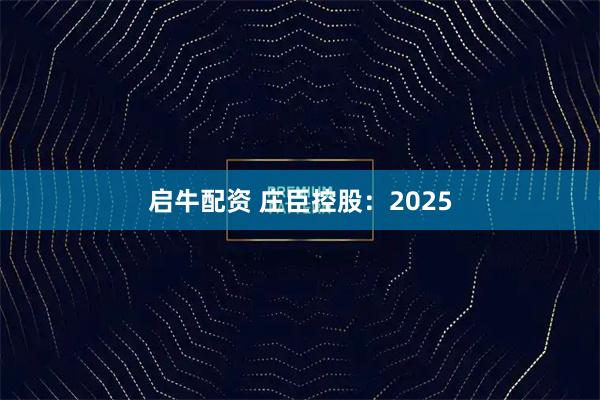 启牛配资 庄臣控股：2025