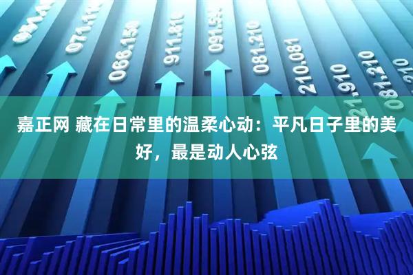 嘉正网 藏在日常里的温柔心动：平凡日子里的美好，最是动人心弦